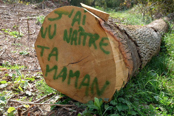 2016 - ACTIONS JURIDIQUES : VICTOIRES